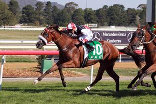 Canberra Cup to Almost Court (NZ) Photo: Mark Gatt 